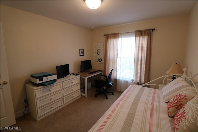 bedroom with carpet floors