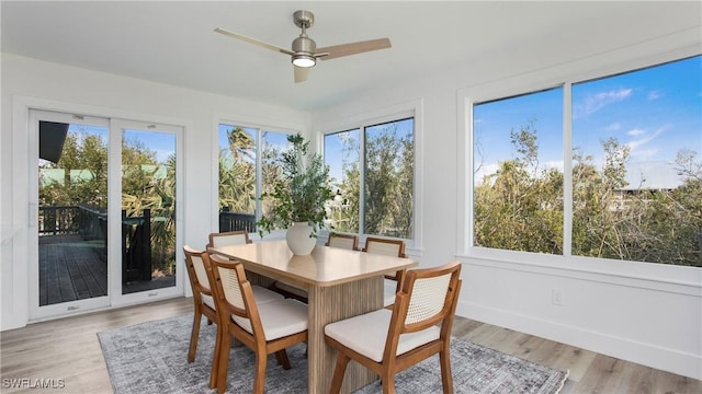 sunroom with ceiling fan and a wealth of natural light