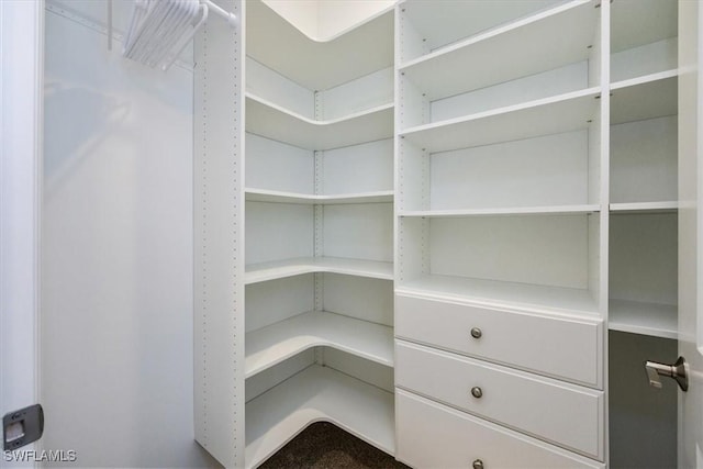 view of walk in closet