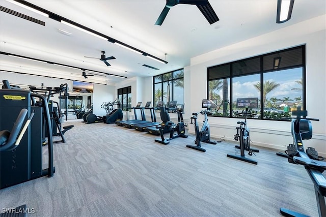 gym featuring carpet floors and ceiling fan