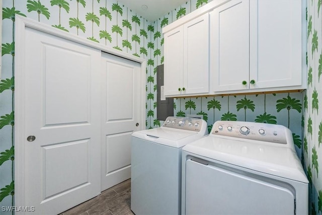 laundry area with cabinets and washing machine and clothes dryer