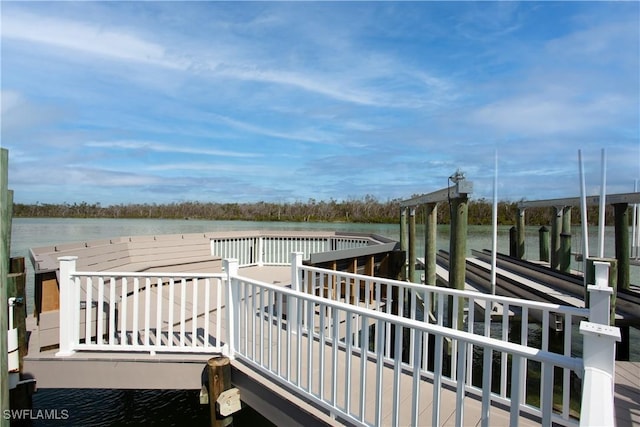 dock area featuring a water view