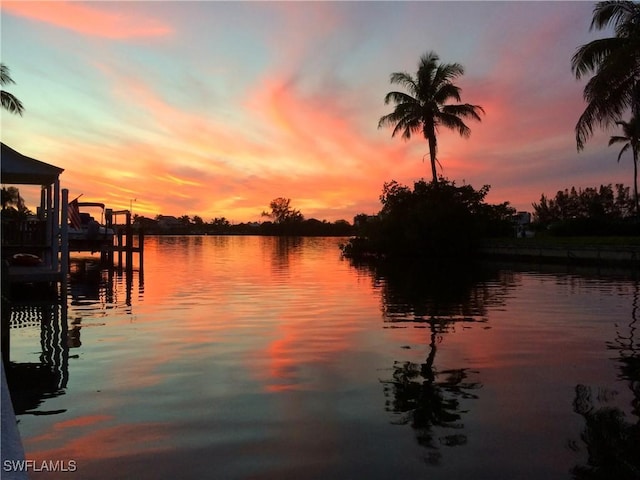 water view featuring a boat dock