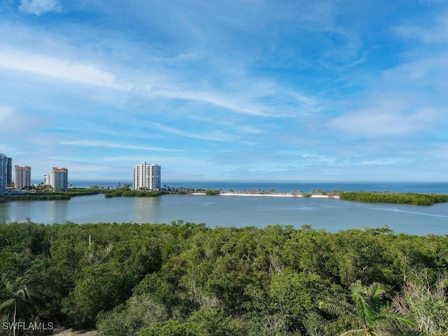 property view of water