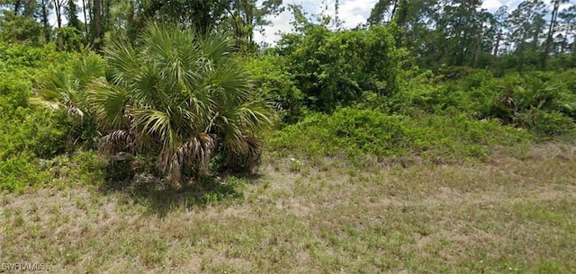 459 Windsor Ave S, Lehigh Acres FL, 33974 land for sale