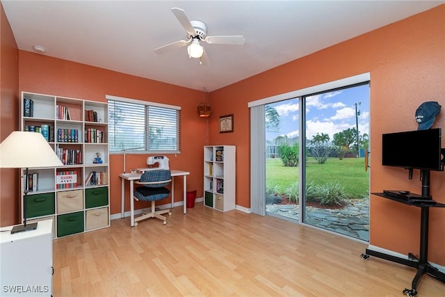 office featuring ceiling fan and light wood-type flooring