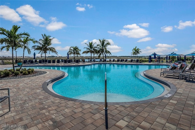 view of pool with a patio area