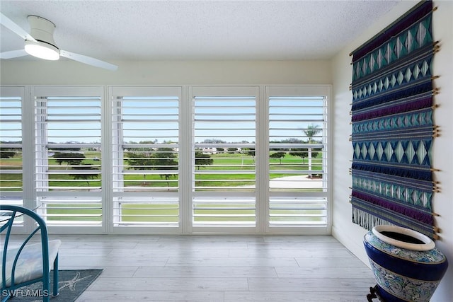 doorway featuring light hardwood / wood-style flooring, plenty of natural light, and a textured ceiling