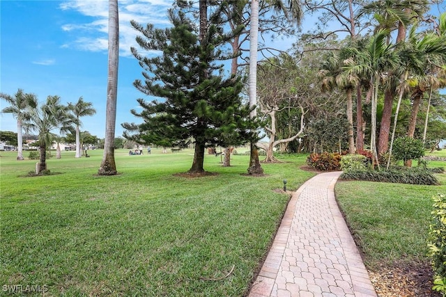 view of property's community featuring a lawn