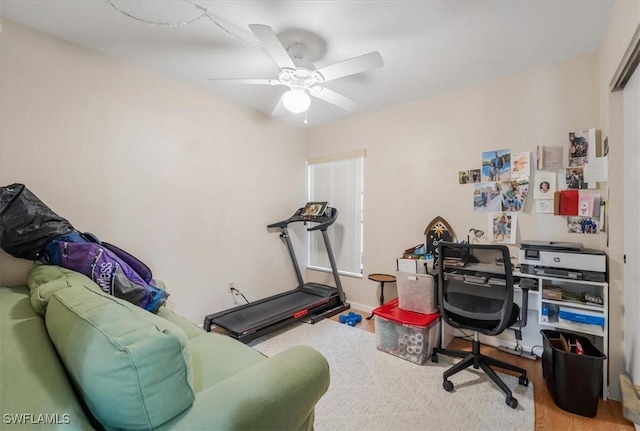 workout area featuring hardwood / wood-style floors and ceiling fan