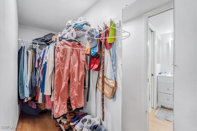 spacious closet with light hardwood / wood-style flooring