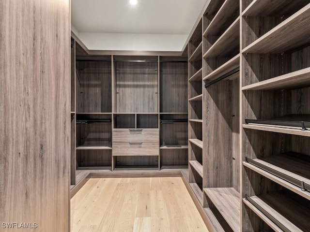 walk in closet with light wood-type flooring