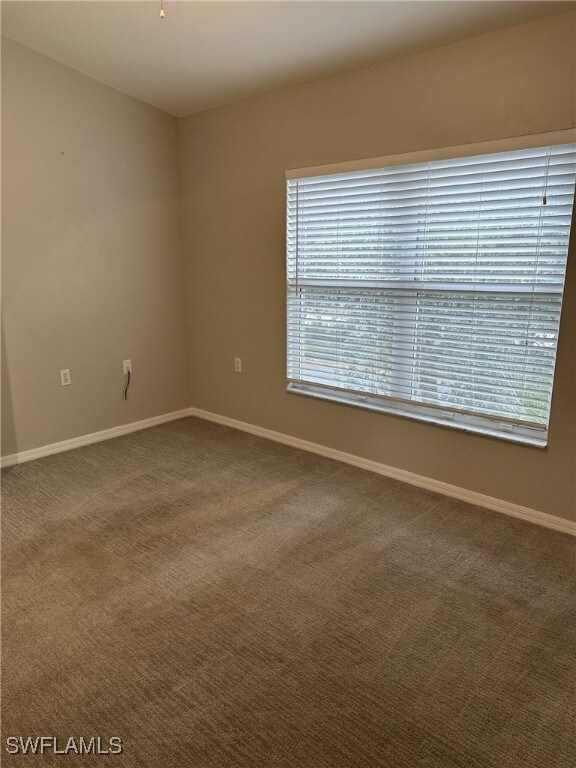 spare room featuring plenty of natural light and carpet