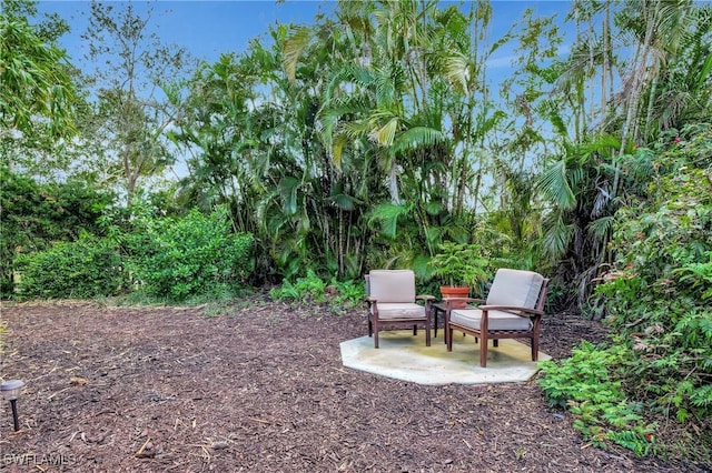 view of yard featuring a patio area