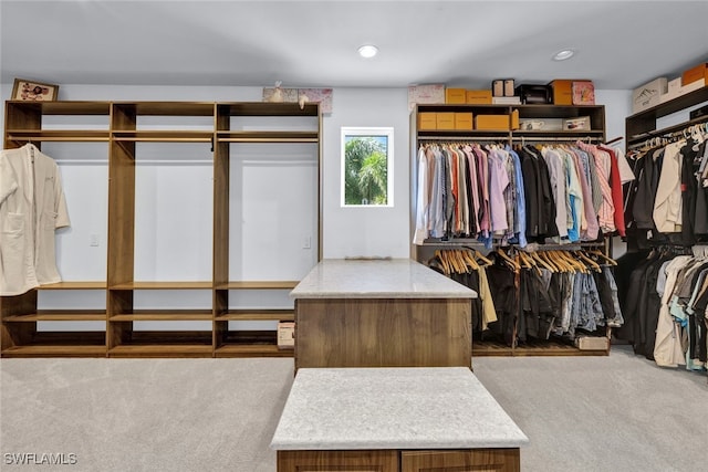 spacious closet with carpet