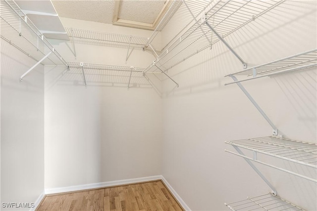 spacious closet with wood-type flooring