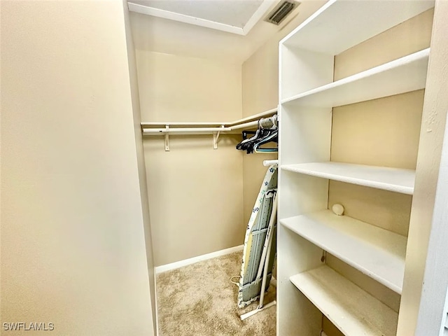 walk in closet featuring carpet floors and visible vents