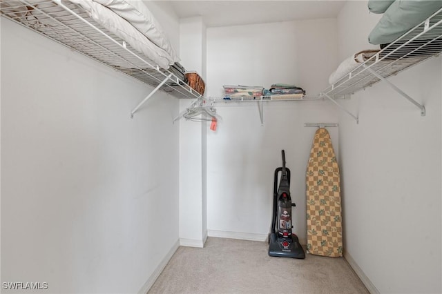 walk in closet with light carpet