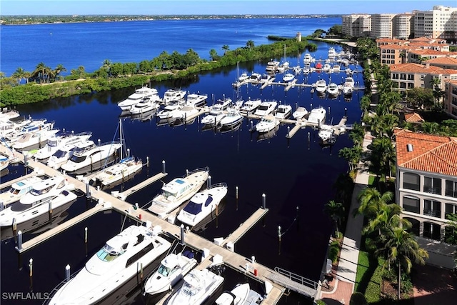 birds eye view of property with a water view