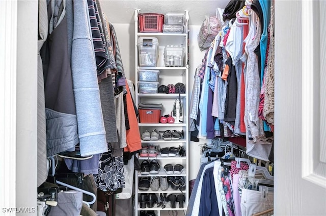 view of spacious closet