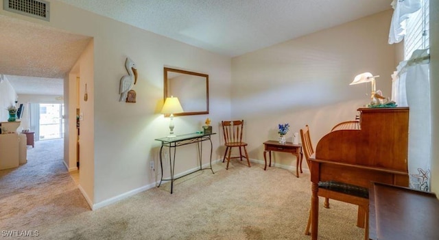 interior space featuring light colored carpet and a textured ceiling