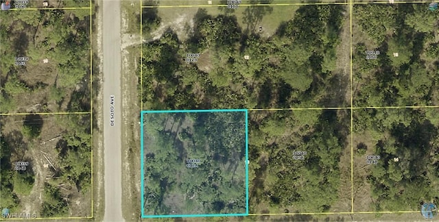 706 W 11th St, Lehigh Acres FL, 33972 land for sale