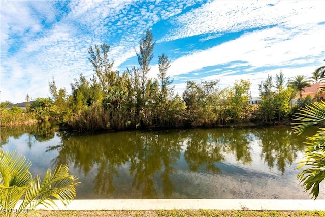 property view of water