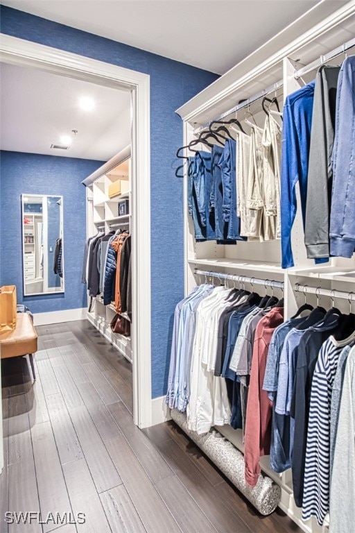 spacious closet with hardwood / wood-style floors