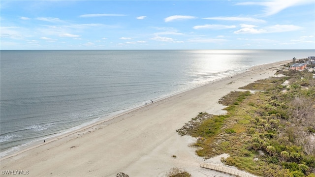 property view of water featuring a view of the beach