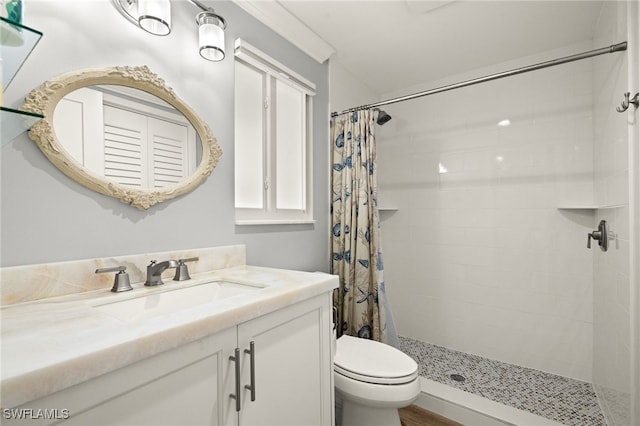 bathroom featuring a shower with curtain, vanity, and toilet