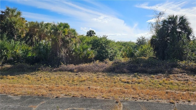 811 Opal Ct, Labelle, FL 33935