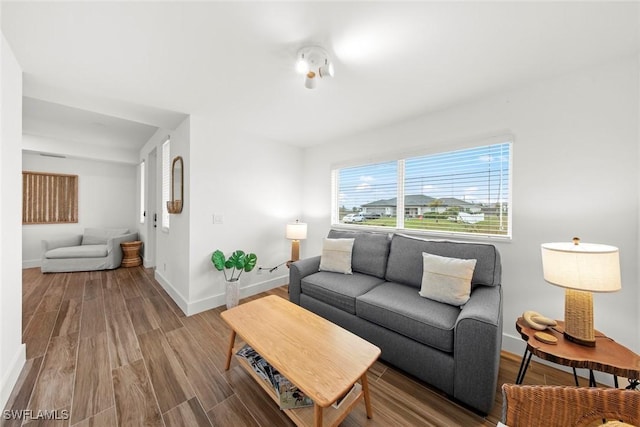 living room with wood-type flooring