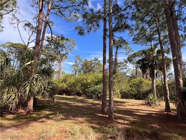 2002 Truman Ave, Alva, FL 33920 - photo 25