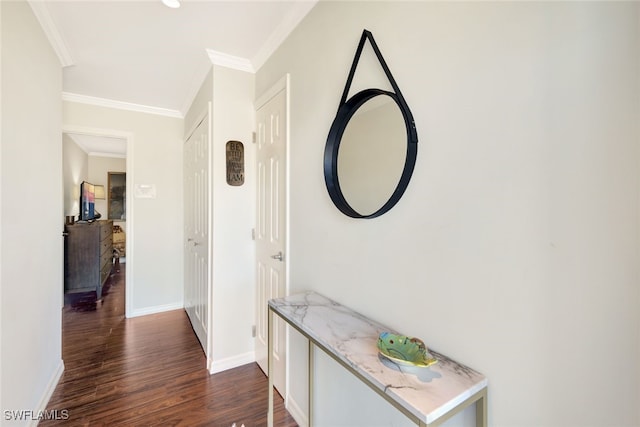 hall with crown molding and dark hardwood / wood-style flooring