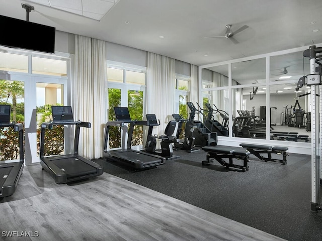 exercise room with ceiling fan