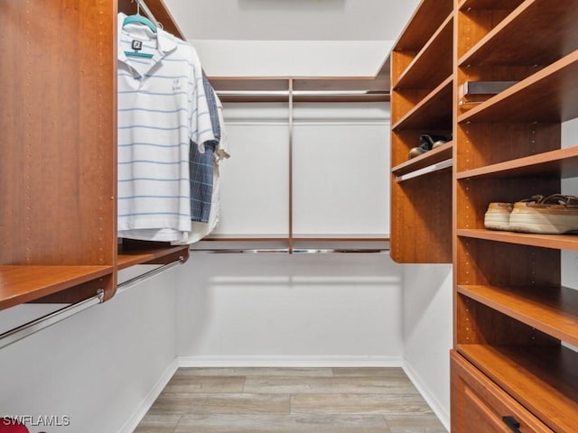 spacious closet featuring light hardwood / wood-style floors