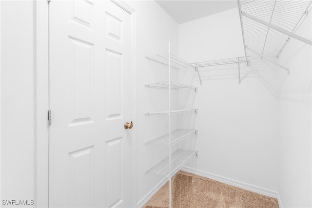 spacious closet with carpet