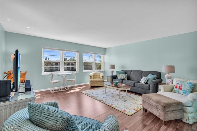 living room with wood-type flooring