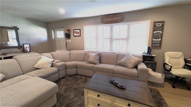 living room with dark hardwood / wood-style floors