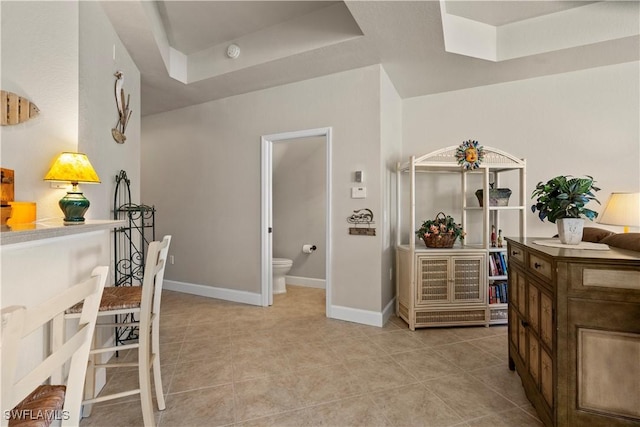 interior space featuring a raised ceiling