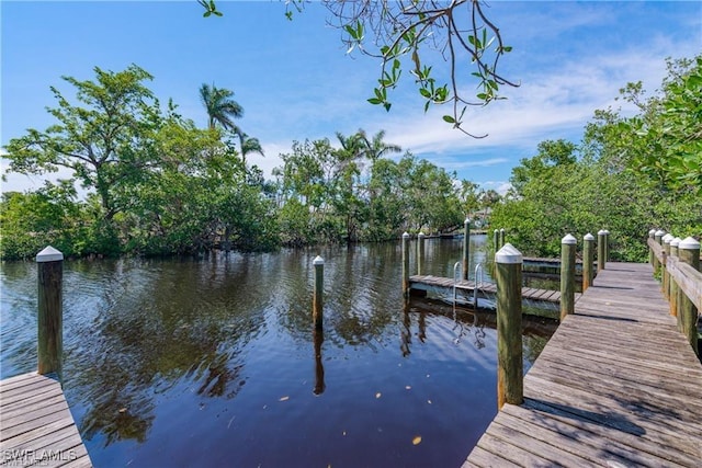 dock area with a water view