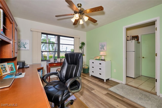 office space featuring ceiling fan and light hardwood / wood-style flooring