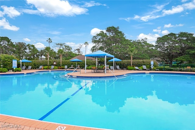 view of swimming pool with a patio area