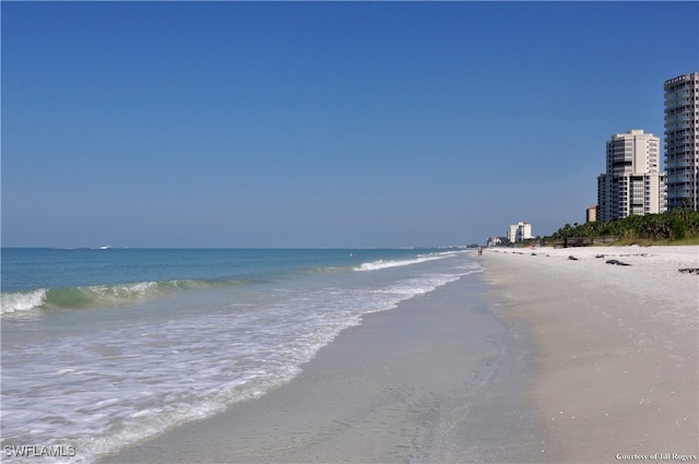 water view featuring a beach view