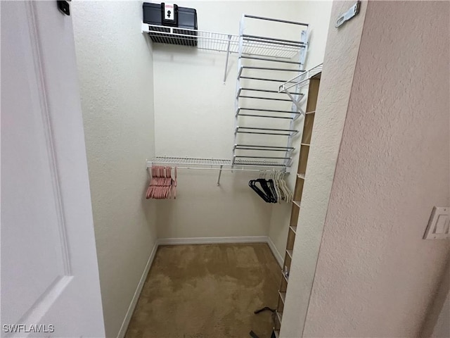 walk in closet with carpet flooring