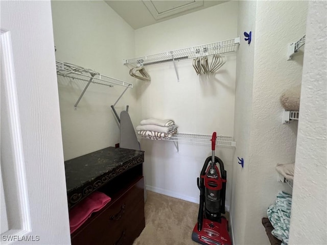 walk in closet featuring carpet flooring