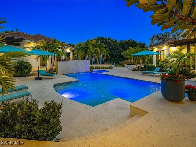 view of pool featuring a patio and pool water feature