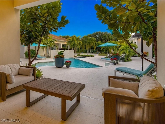 view of pool with outdoor lounge area and a patio