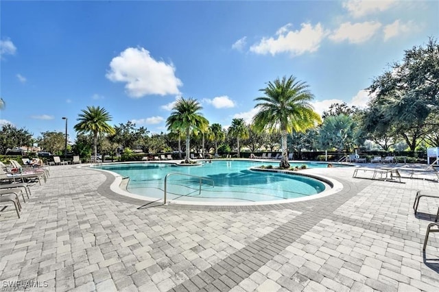 view of pool featuring a patio