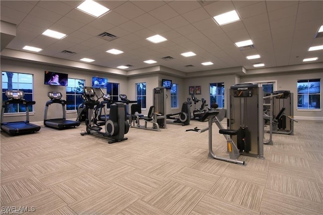 workout area featuring light carpet